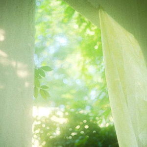 羞辱乳夹滴蜡鞭打调教
